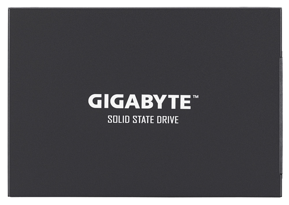 GIGABYTE UD PRO - 256GB 2.5-inch