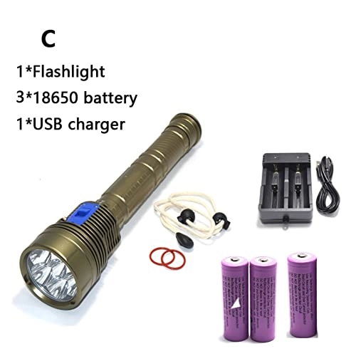 Professional Submersible Light