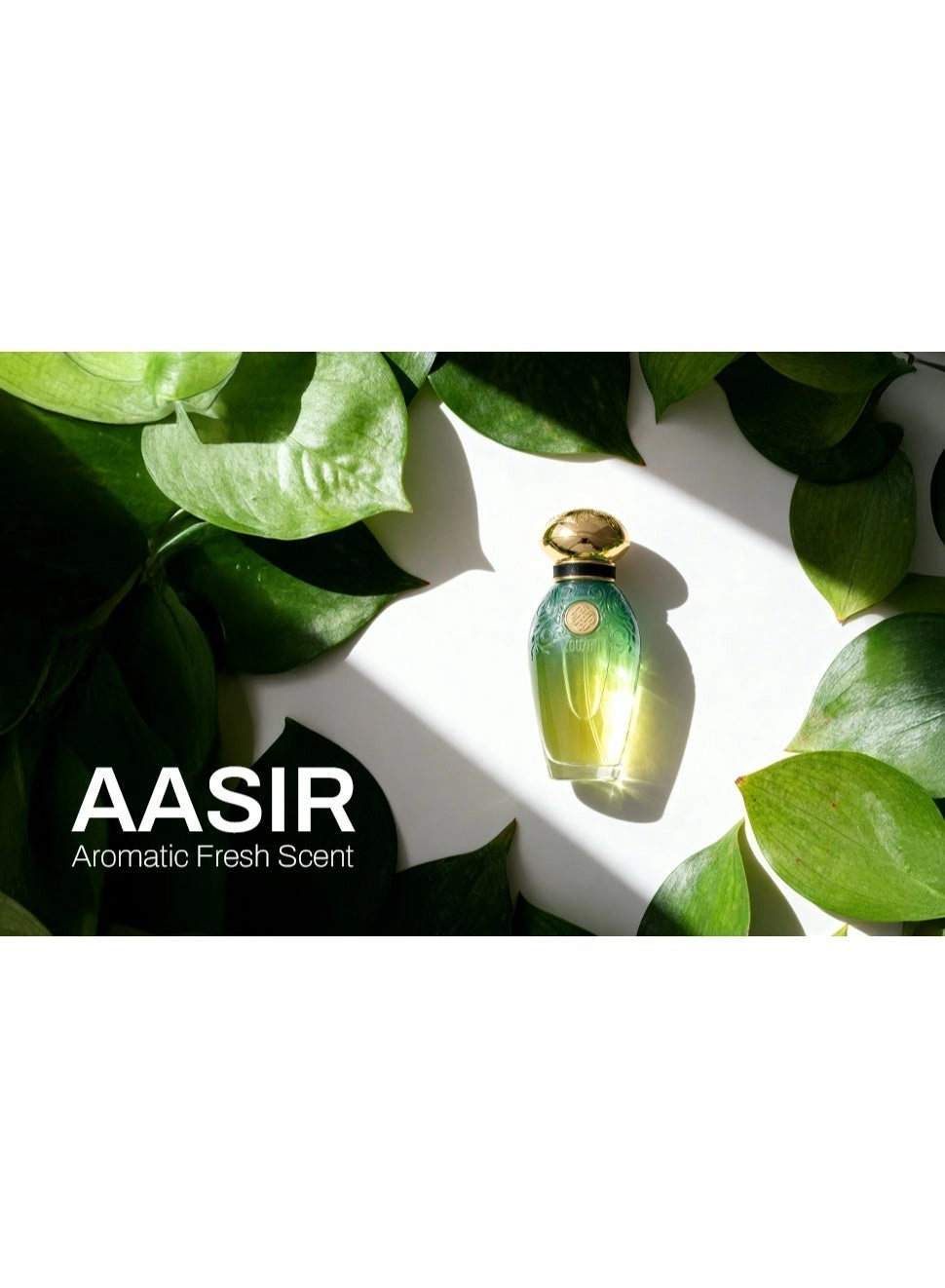 Aasir Eau de Parfum 50 ml