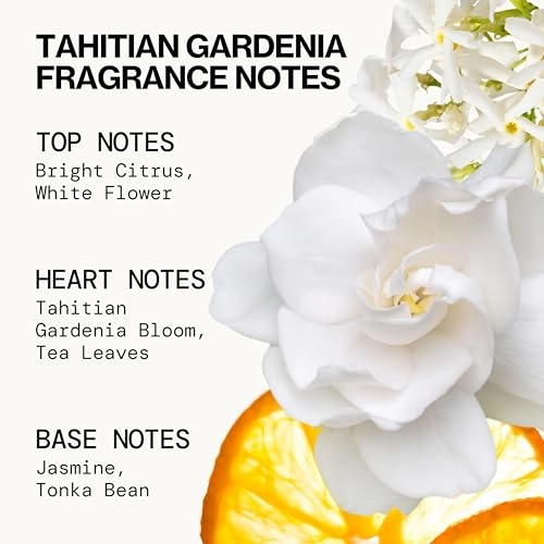 Wanderlust Spray Perfume Trial Set - Travel Size 5 piece(s)