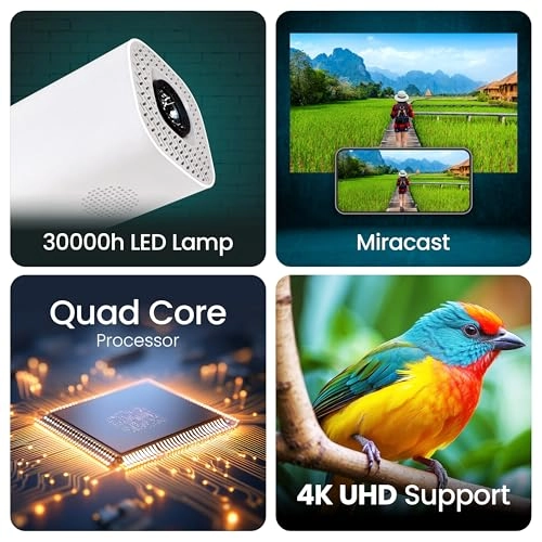 LiteCast X1 480 Lumen