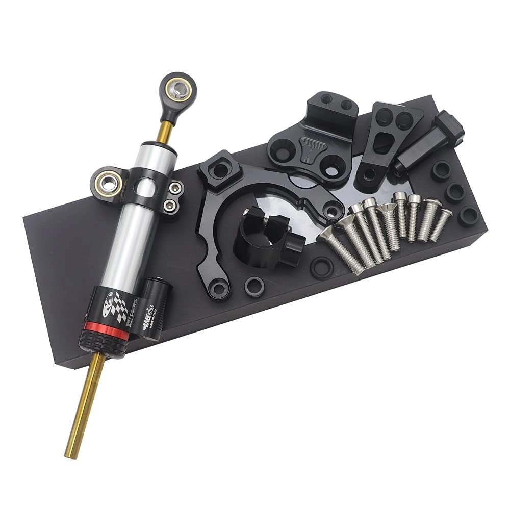 WELTS Steering Damper Mounting Bracket Kit - Kawasaki Z900 2017 2018 2019