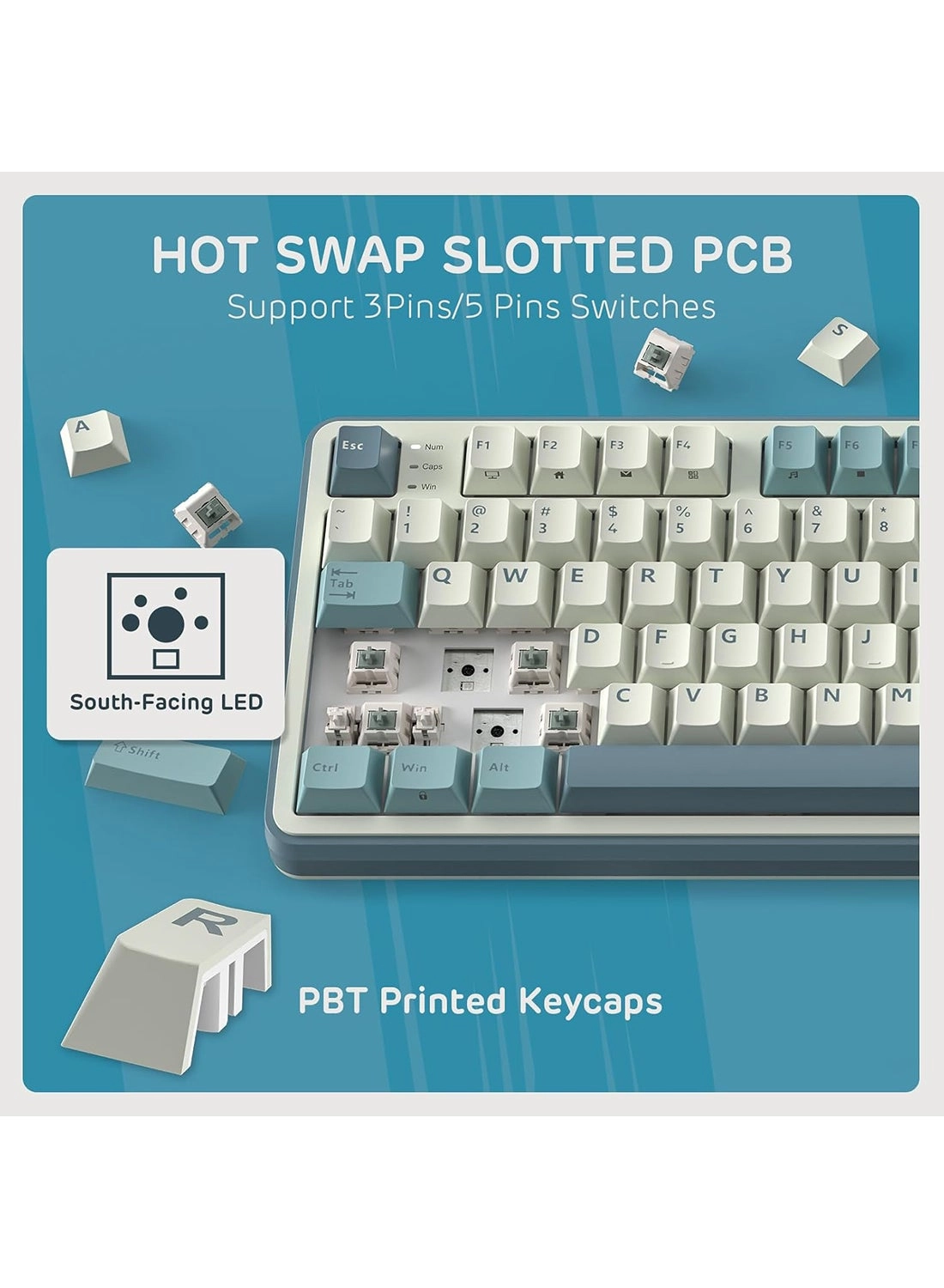 S98 - US Wired/Wireless