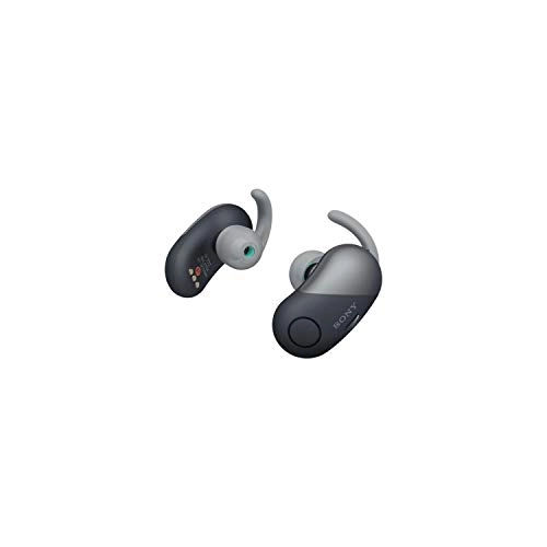 WF-SP700N Wireless Earbud