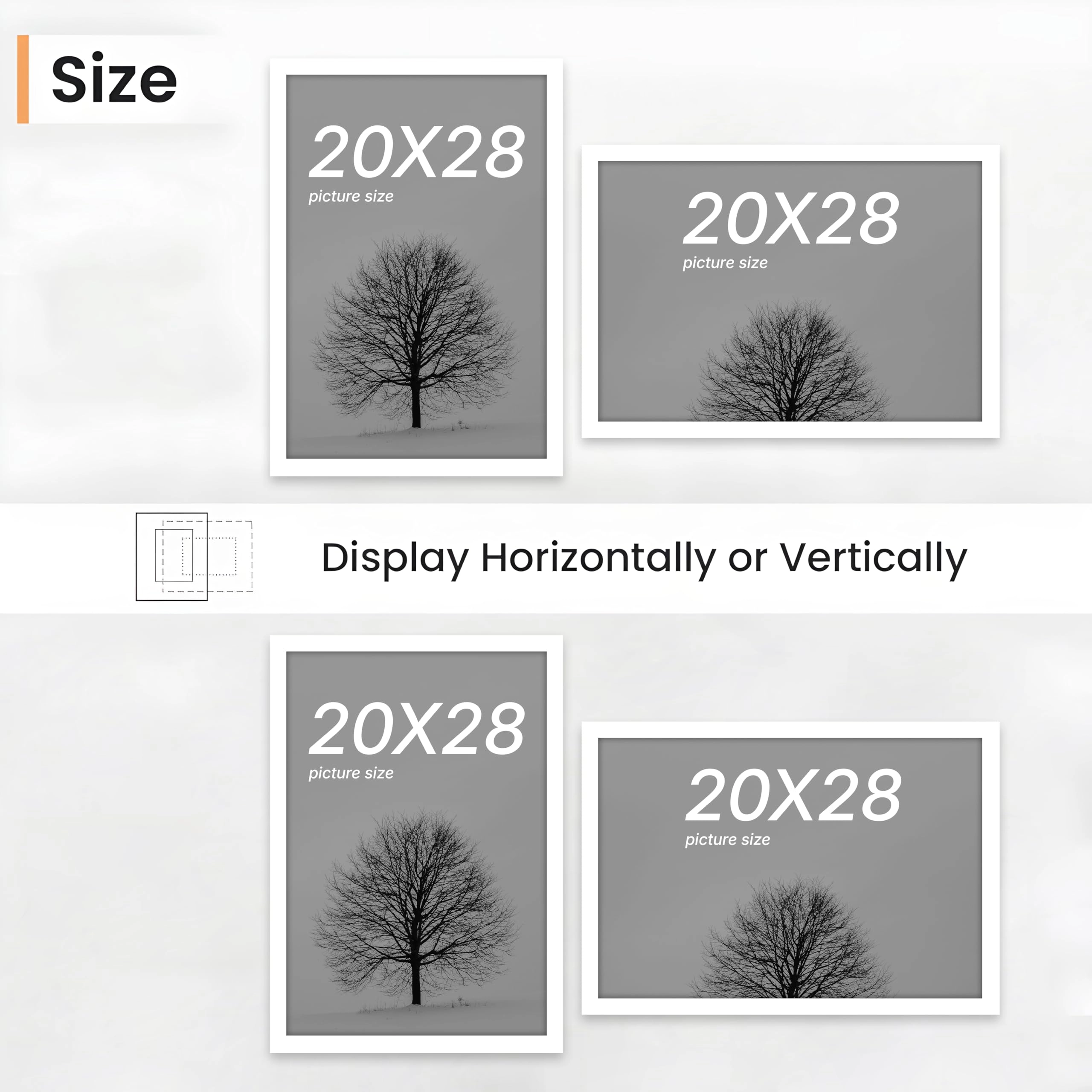 Document Frame - 20x28 Inch