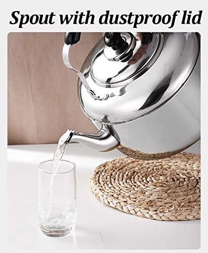 Stovetop Induction Whistling Kettle - 5L