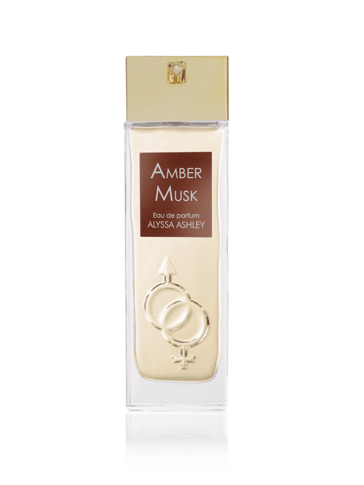 Big Brands Perfumes Amber Musk Eau de Parfum 100ml