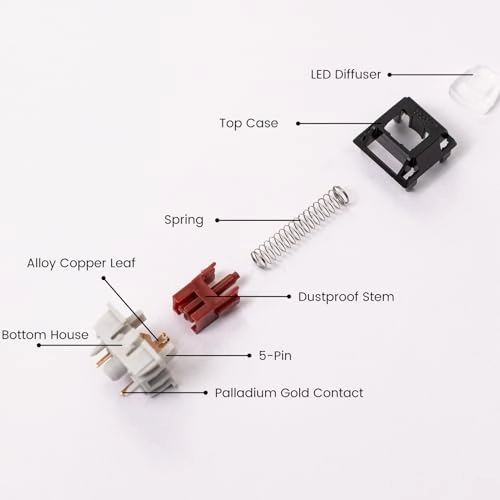 Dracula Switch - 45 piece(s)