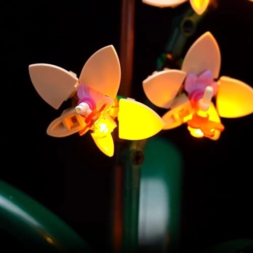 LED Light kit - for Lego 10343 Fortune Bamboo Model Classic