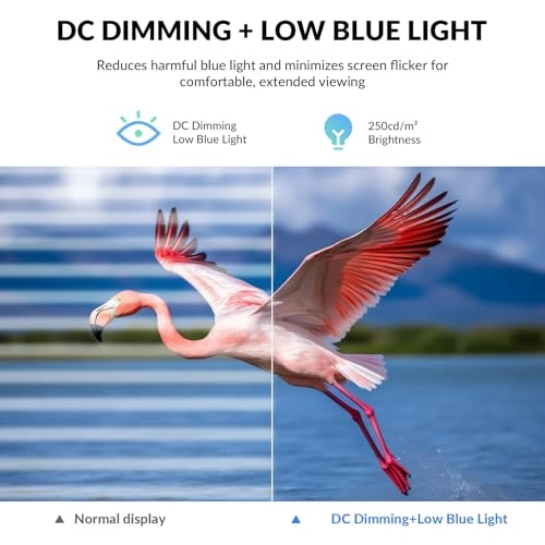 Z32B - 32 Inches 3840 x 2160 Pixels