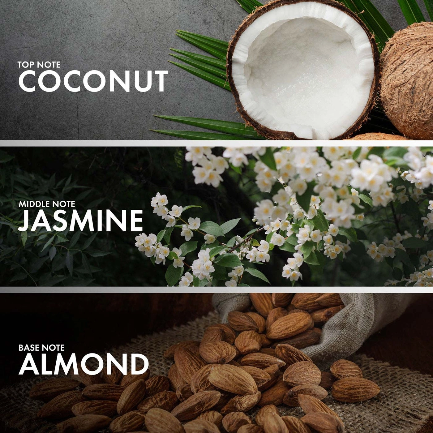 CARAWAY ALMOND Eau de Parfum 50 ml