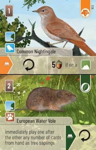 Forest Shuffle Woodland Edge - 10 years and up