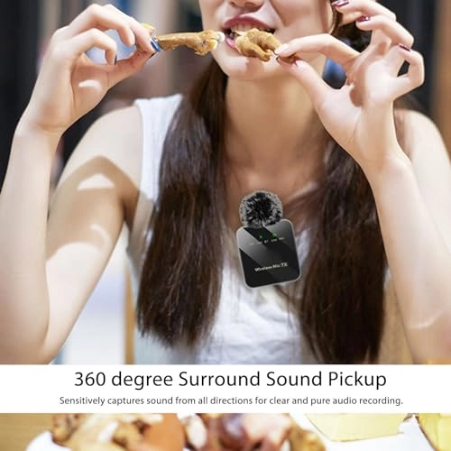 baegfc18ku Wireless Microphone