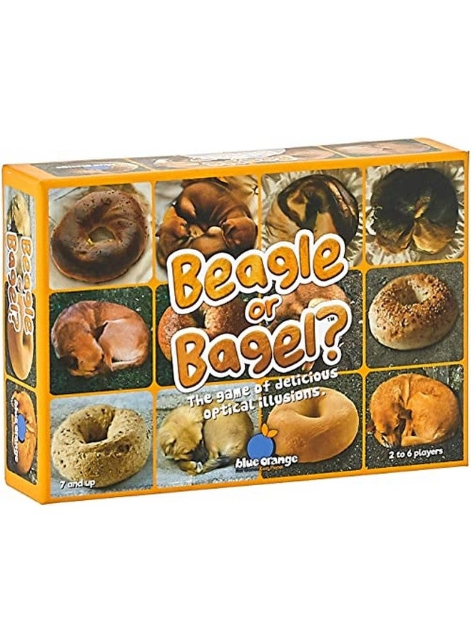 Blue Orange Beagle Or Bagel