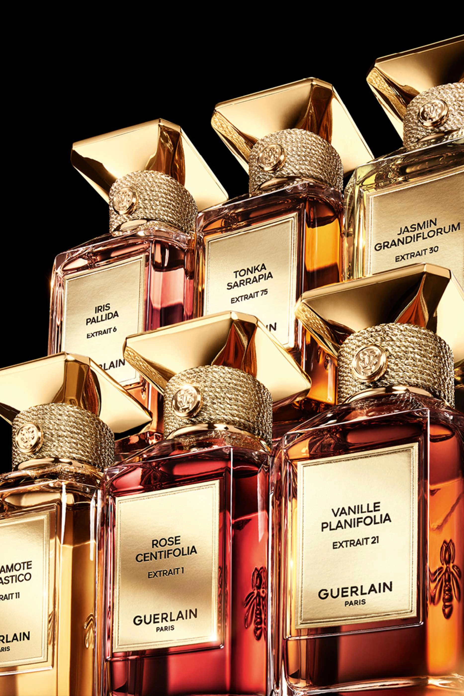 Vanille Planifolia Extrait 21 Eau de Parfum - 50 ml