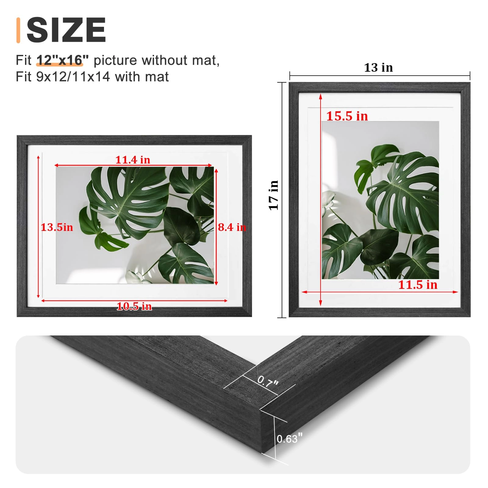 picture frames - 12x16
