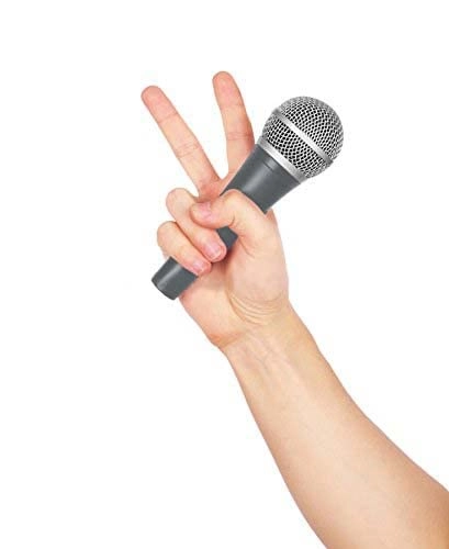 VZ-638G XLR Microphone