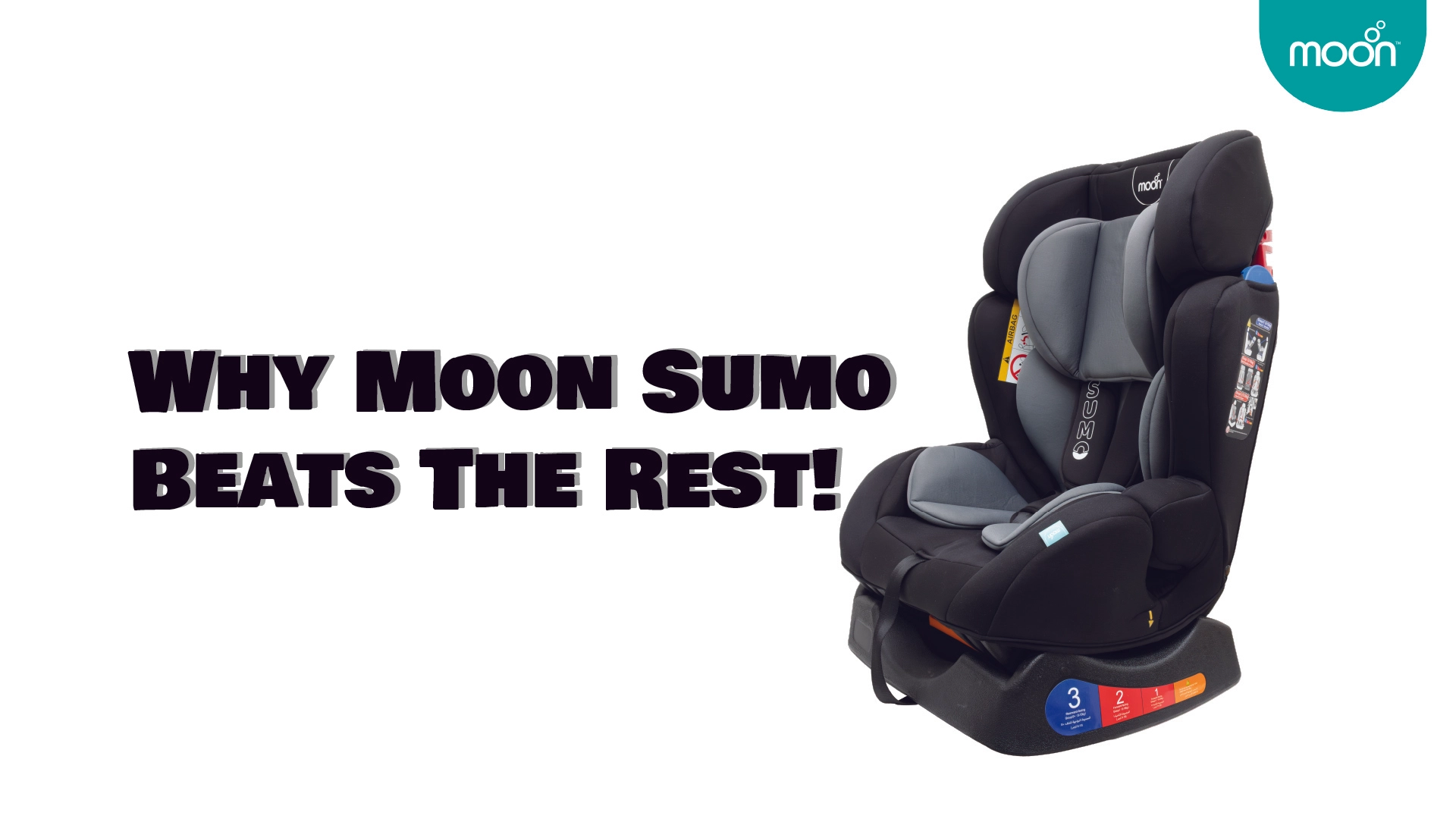 Sumo - Group 012 Seat Belt