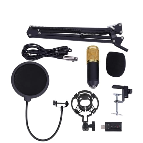 BM800 USB Microphone