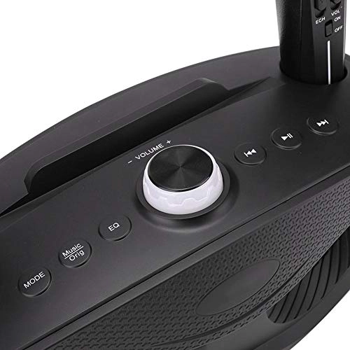 Karaoke Speaker - 2 microphones