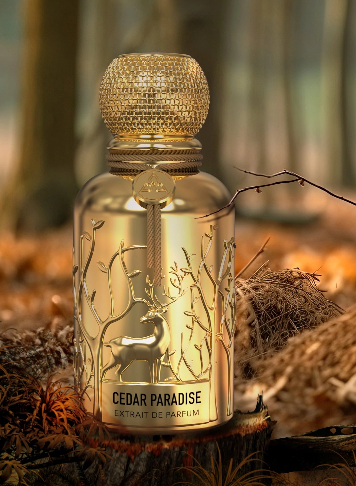 Cedar Paradise Eau de Parfum 100ml