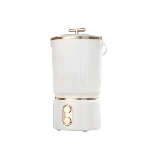 Underwear cleaning machine