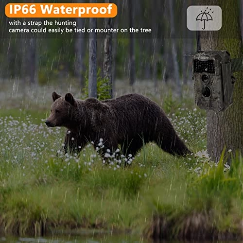 Trail Camera - 24 megapixel