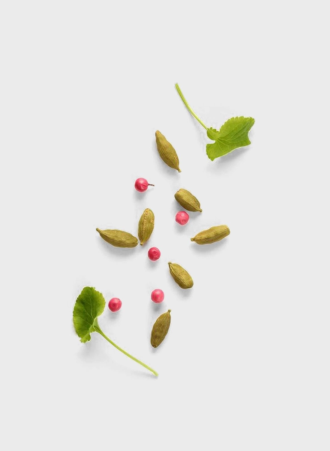 Stronger With You Eau de Toilette 50ml