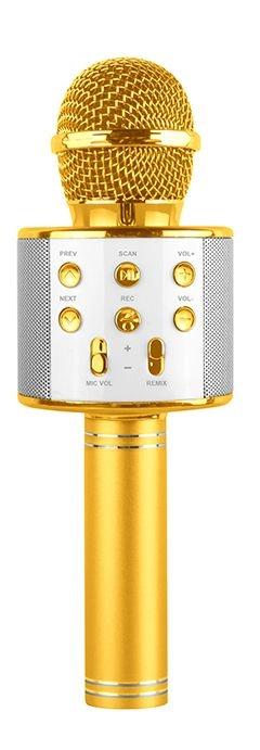 Music Karaoke Microphone - 3 years+