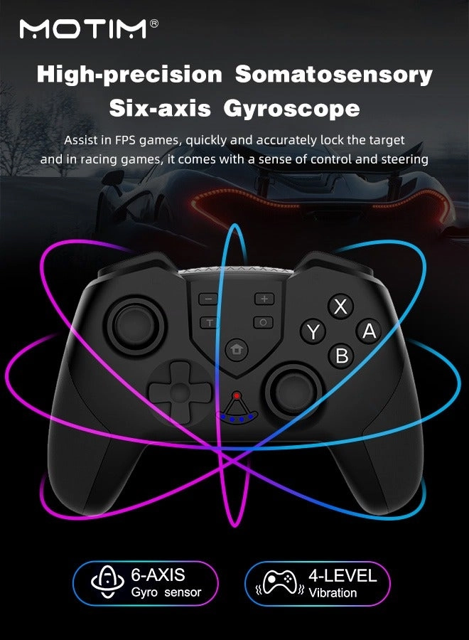 6-Axis Handle Controllers - Black Nintendo Switch