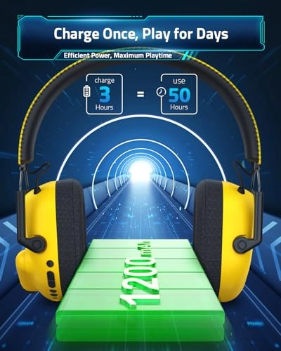 HW20 Wireless Headset