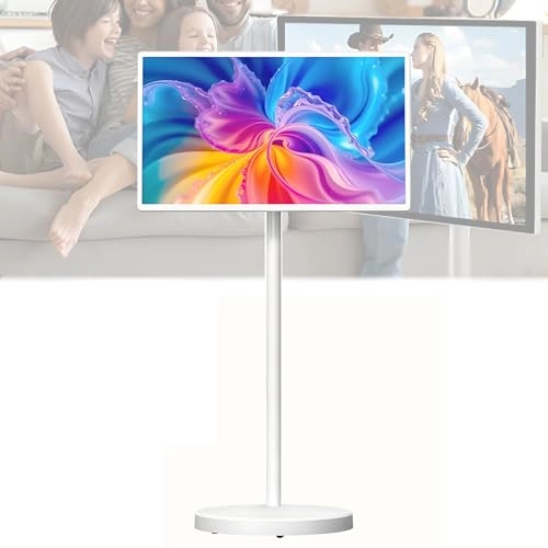 Portable Touch TV - FHD 21.5 inch