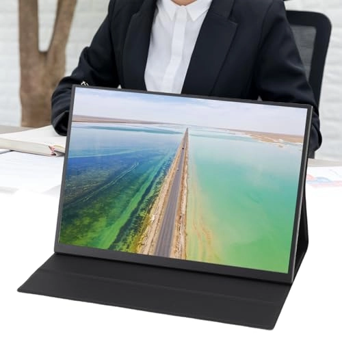 Portable Display - 1080P 12.3 inch