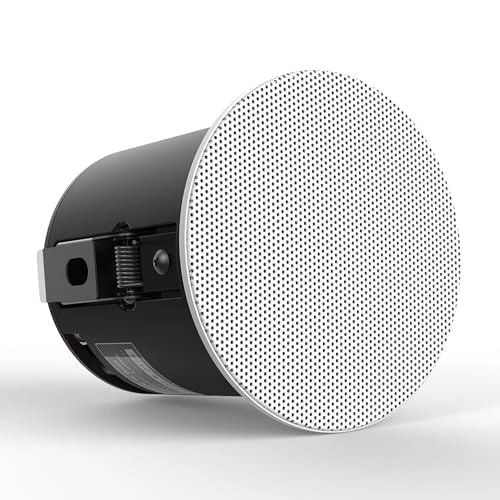 Arylic CK30C - 30-60W