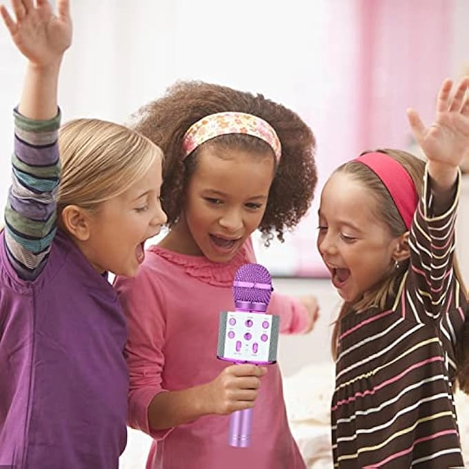 rayihni Karaoke Microphone Pack