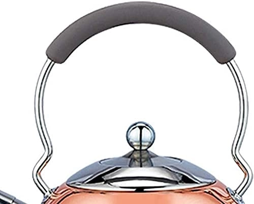 Tea Kettle - 2.5 Liter