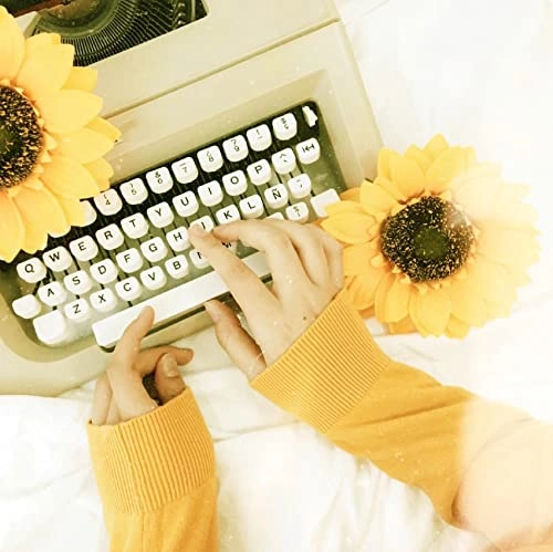 Manual Typewriter - 1 piece(s)