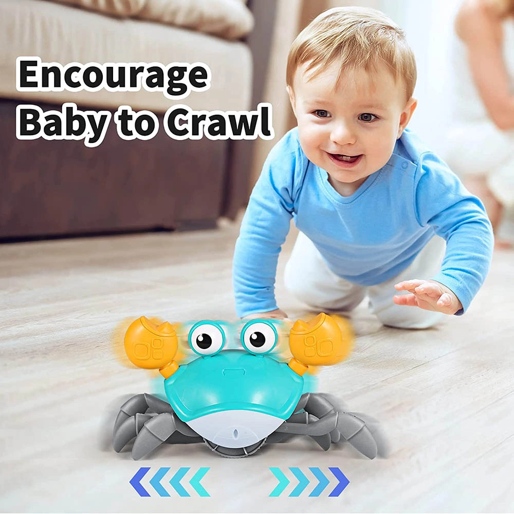 Crawling Crab - 18 months