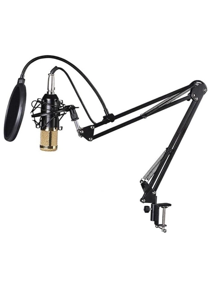 V9 Sound Card + BM800 Pro Microphone Wired Microphone