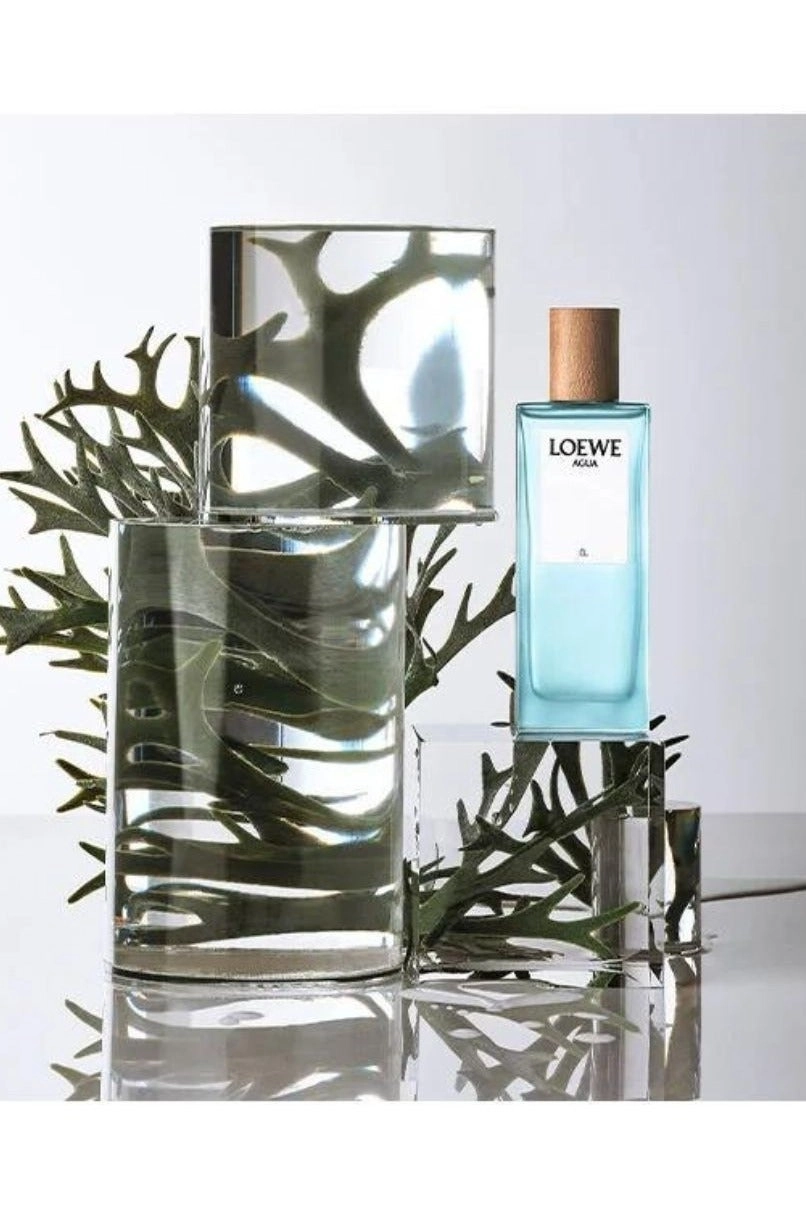 Agua Él Eau de Toilette 100ml