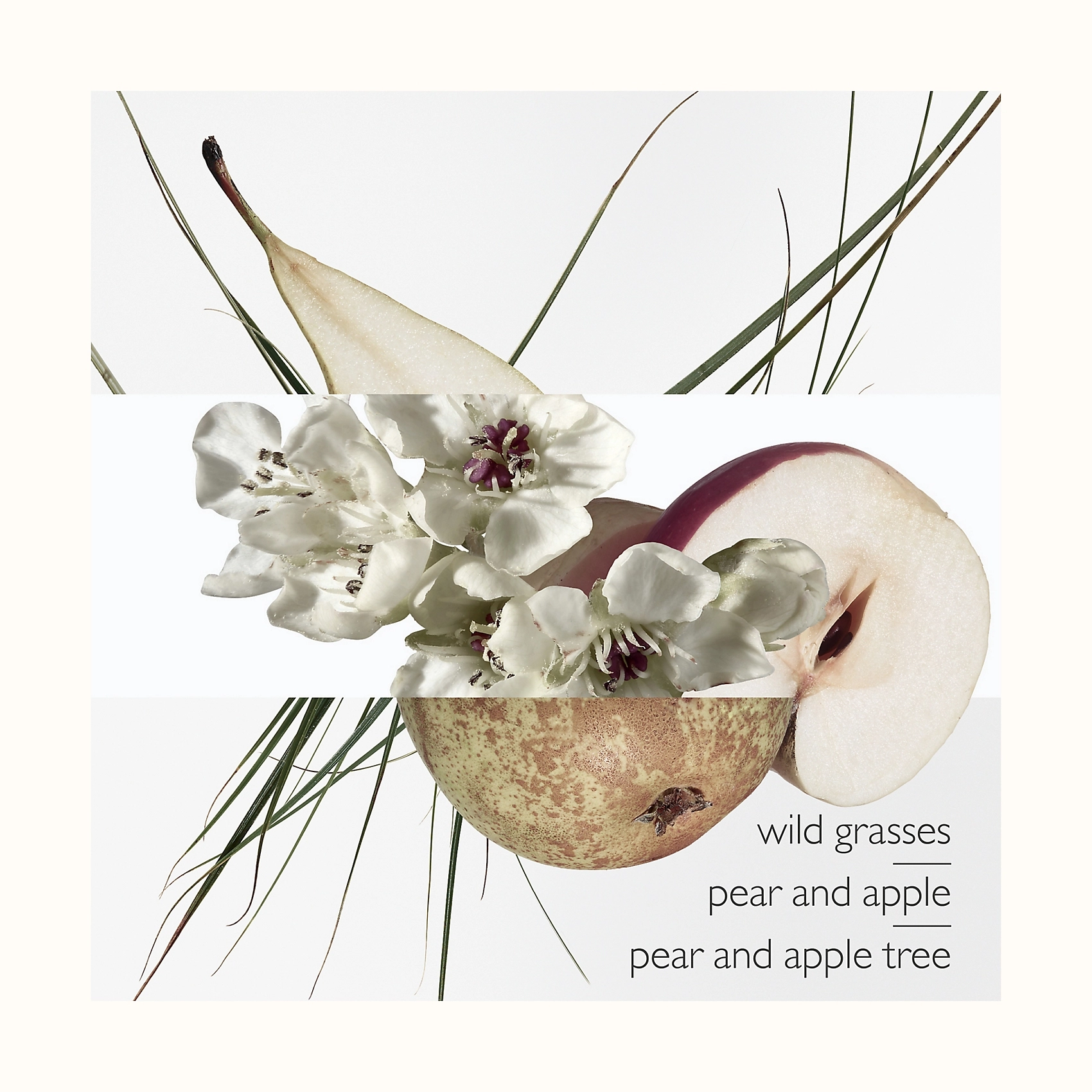 Un Jardin Sur Le Toit - Eau de Toilette 50 ml