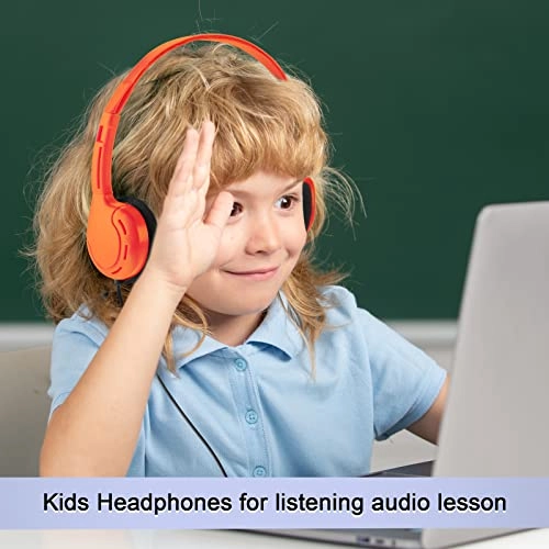 30 Pack Class Set - Wired Headphone