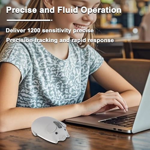 Wireless Bluetooth Mouse - Bluetooth USB