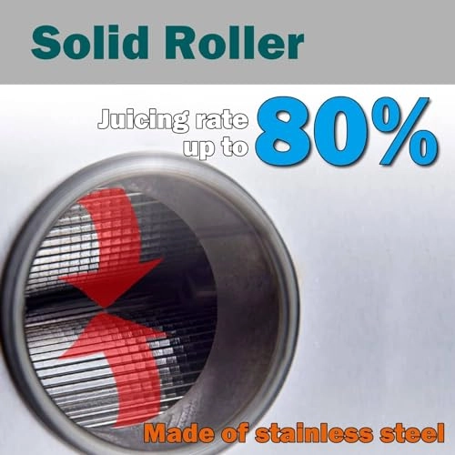 Sugarcane Juicer - 1100W