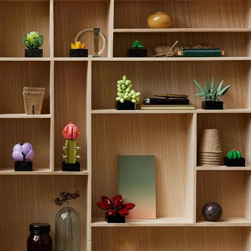 Succulents (10309) - Flowers