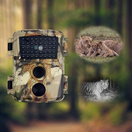 Mini Trail Camera - 12MP