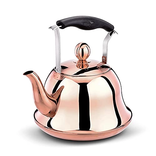 Stovetop Induction Whistling Kettle - 5L