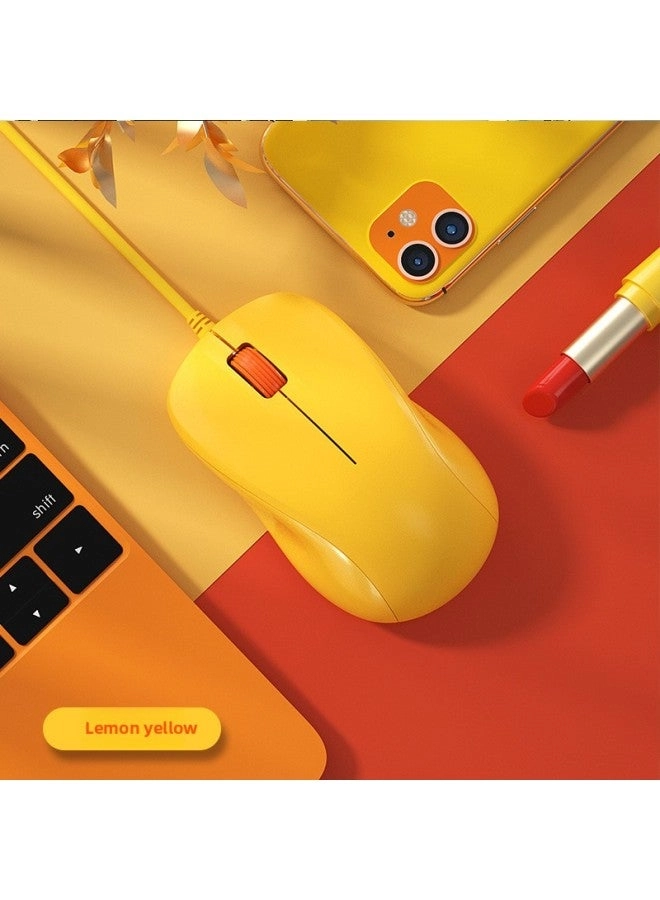 Mute Silent Mouse - Wired