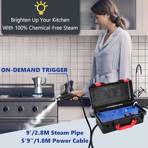 Portable Steam Cleaner - Above 3bar Max 5bar