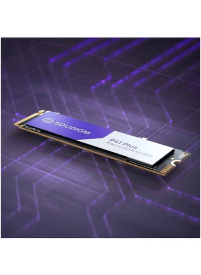 P41 Plus - 1TB M.2 2280